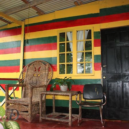Nature In Portland Port Antonio Dış mekan fotoğraf