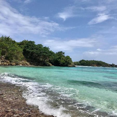 Nature In Portland Port Antonio Dış mekan fotoğraf