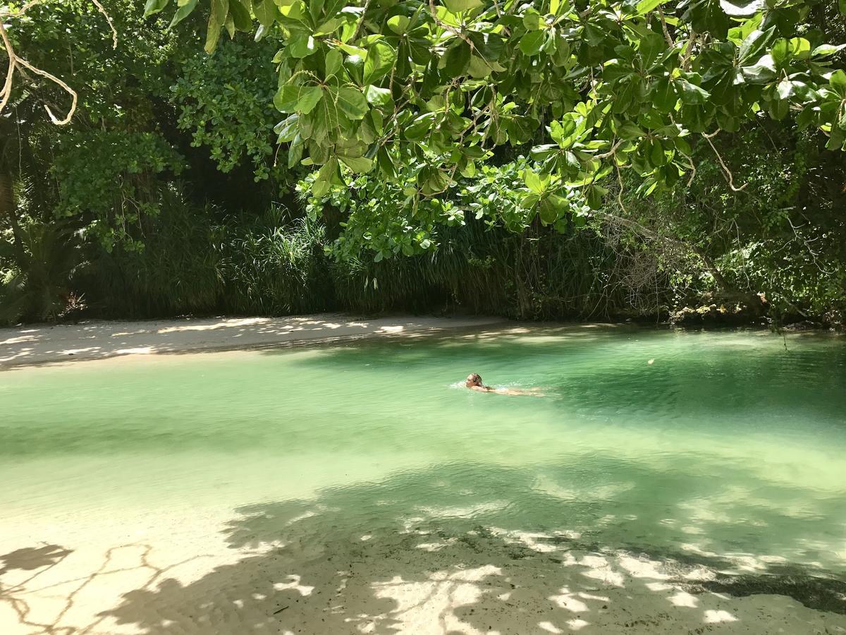 Nature In Portland Port Antonio Dış mekan fotoğraf