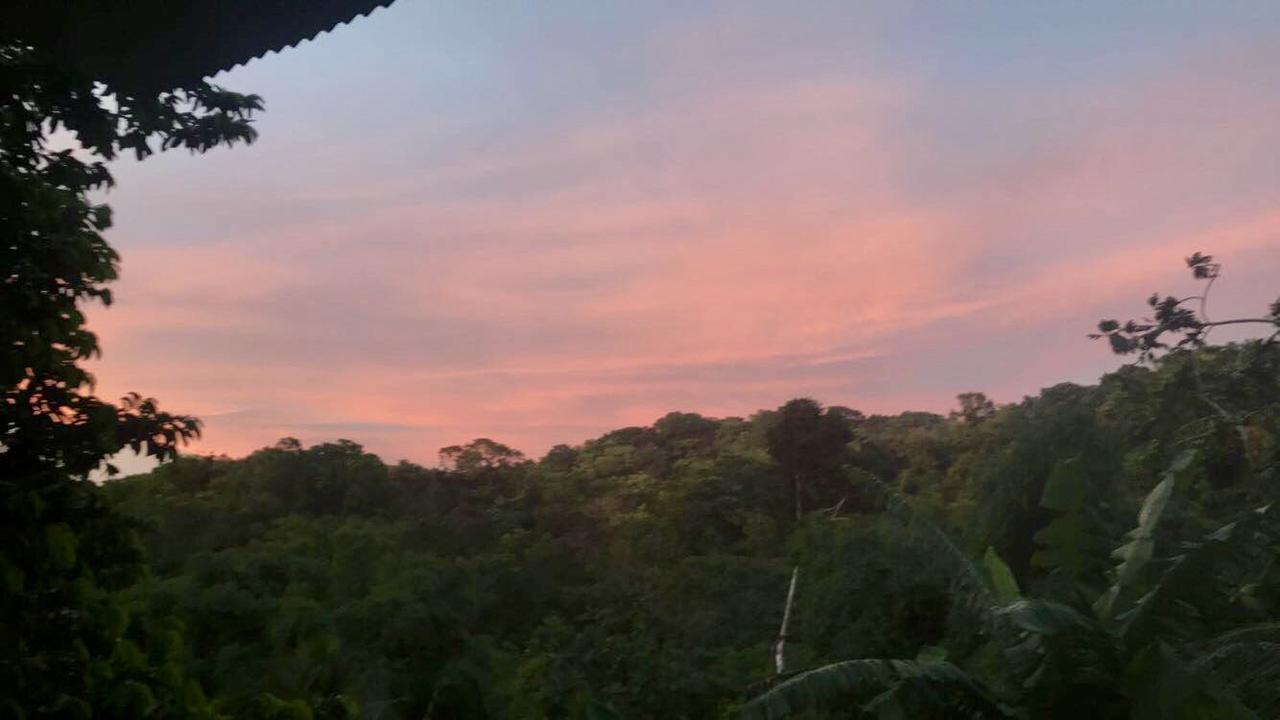Nature In Portland Port Antonio Dış mekan fotoğraf