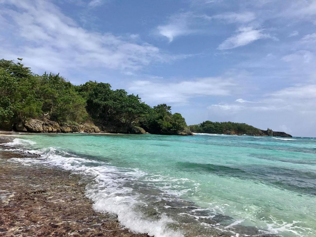 Nature In Portland Port Antonio Dış mekan fotoğraf