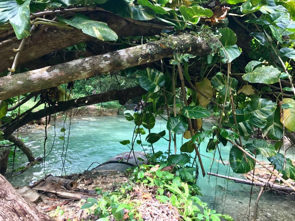 Nature In Portland Port Antonio Dış mekan fotoğraf