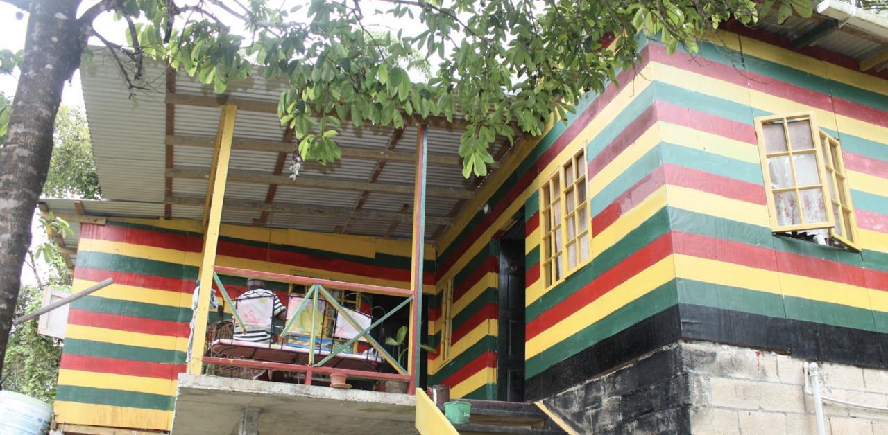 Nature In Portland Port Antonio Dış mekan fotoğraf